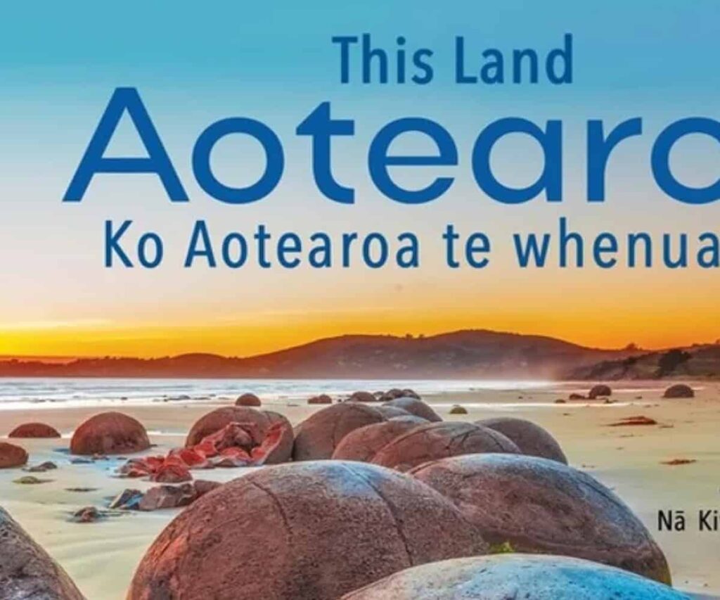 This land Aotearoa children's book reviews