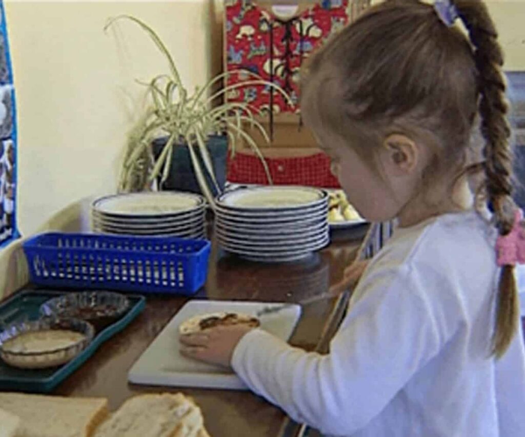 Montessori and Rudolf Steiner preschools and schools